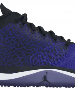 Jordan Trainer 1 Low Concord