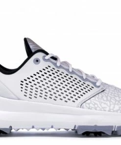 Jordan Trainer ST G White Wolf Grey