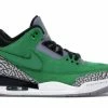 Jordan 3 Retro Tinker Oregon Ducks PE